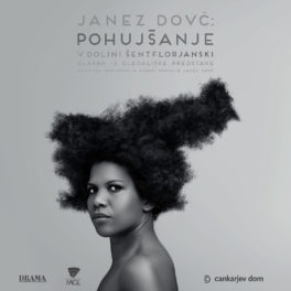 PojujskanjeNaslovnica