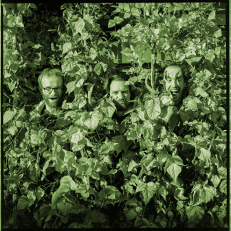 VATrio2015green-by-Matjaz-Vrecko