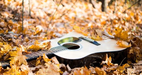 guitar-autmn-leaves