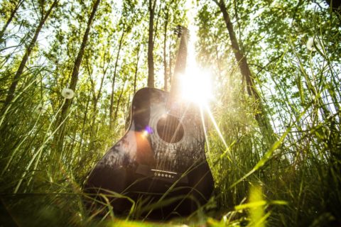 guitare-nature-herbe-verte-1560x1040