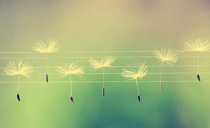 spring_1 copy