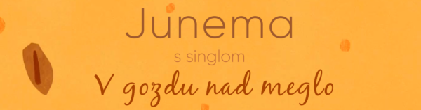 v gozdu nad meglo